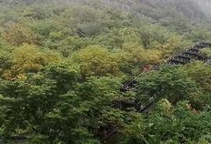 喀纳斯景区爆料视频最新,神秘湖泊与原始森林的绝美邂逅